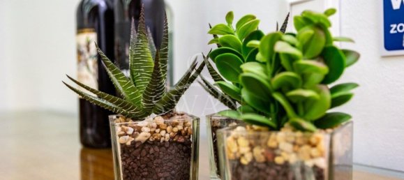 242m² Office in Lisbon, Portugal No. 75411 10