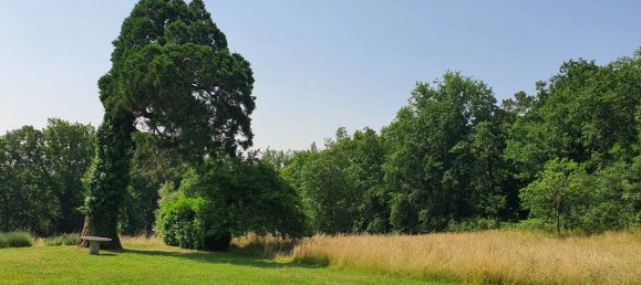 Casa de 4 dormitorios en Sainte-Foy-la-Grande, France No. 335482 18