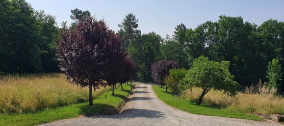 Casa de 4 dormitorios en Sainte-Foy-la-Grande, France No. 335482 16