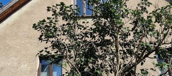 Casa de 5 divisões em Schmalkalden-Meiningen, Germany N.º 165749 3