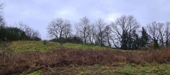  Land in Bernkastel-Wittlich, Germany No. 130291 6