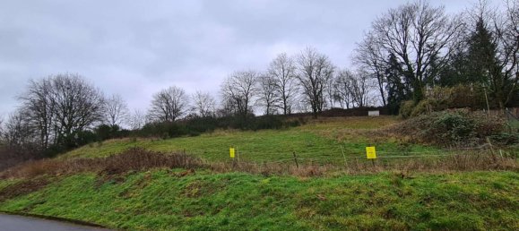  Land in Bernkastel-Wittlich, Germany No. 130291 4