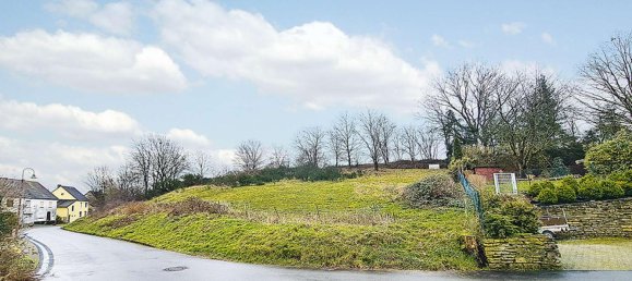  Land in Bernkastel-Wittlich, Germany No. 130291 2