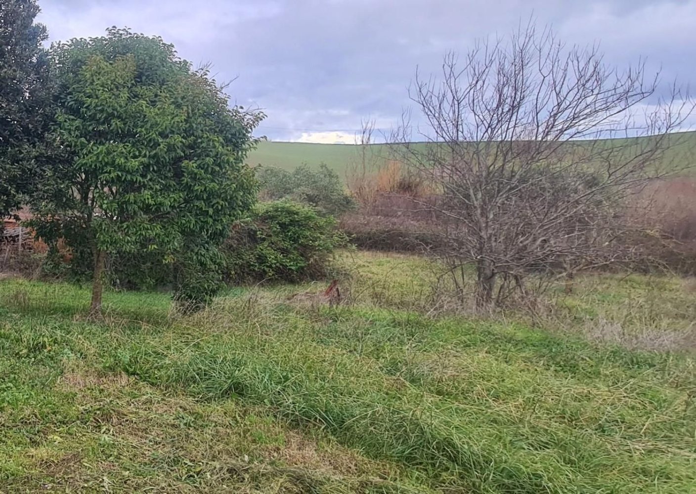 Casa de 3 habitaciónes en Rosignano Marittimo, Italy No. 92556