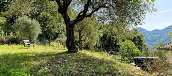 5 rooms Villa in Podenzana, Italy No. 154211 17