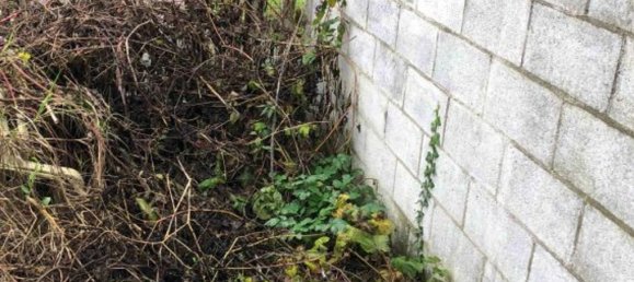 Квартира с 3 комнатами в Дорно, Италия № 195834 13