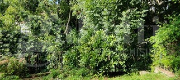 2 bedrooms House in Biella, Italy No. 294738 6