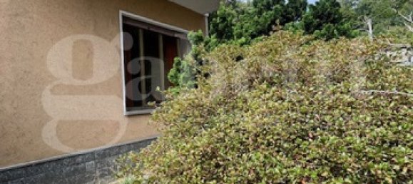 2 bedrooms House in Biella, Italy No. 294738 11