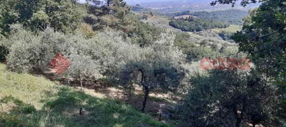 3 bedrooms Villa in Lucca, Italy No. 66840 14