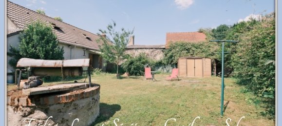 4 bedrooms House in Saint-Laurent-Nouan, France No. 341044 3