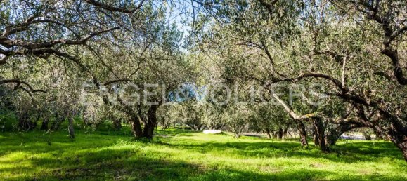 8-Zimmer Villa in Naso, Italy, Nr. 132093 18