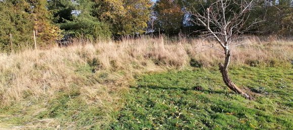 Terreno em Mittelsachsen, Germany N.º 186700 2