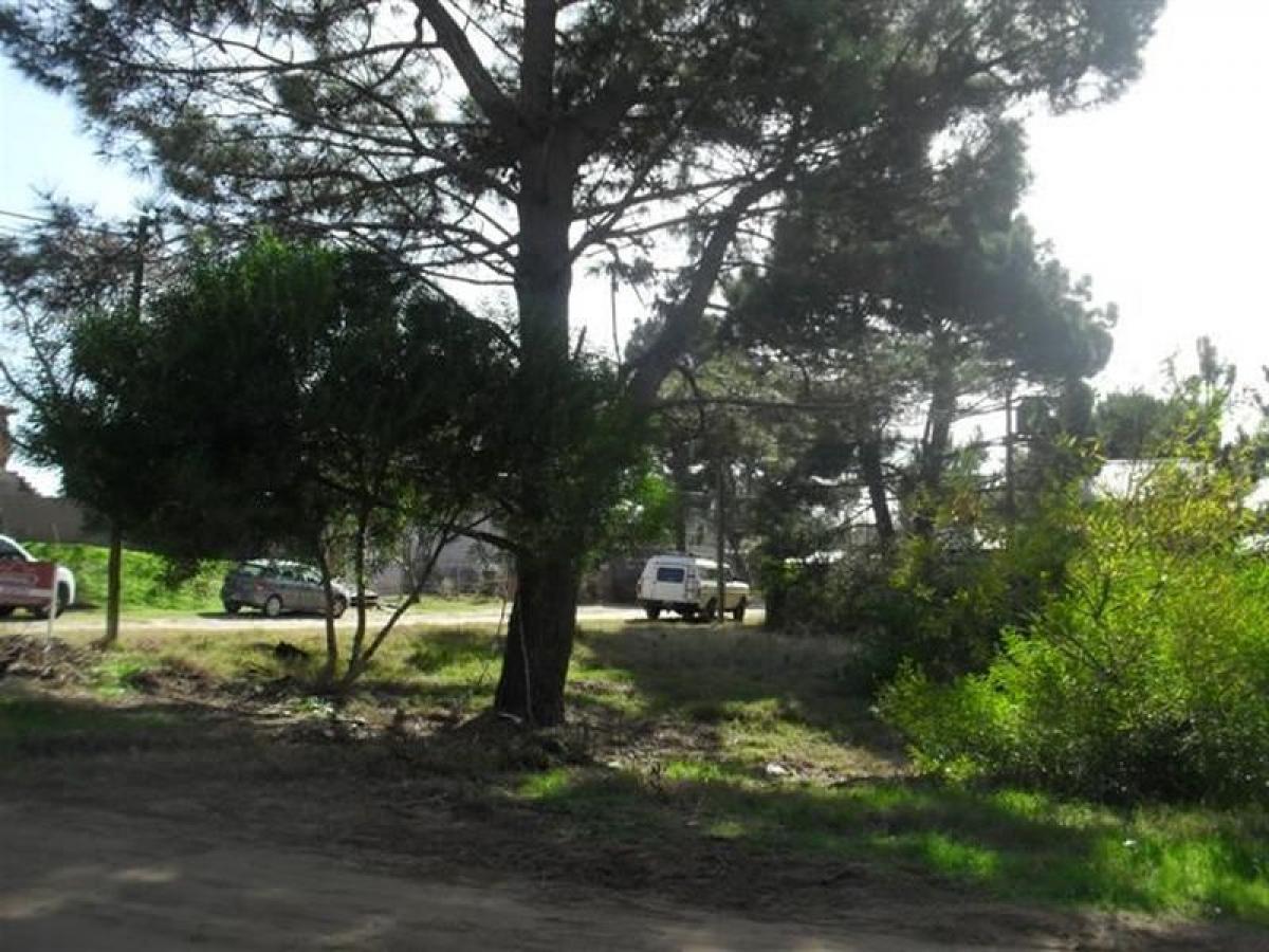 Terrain à Mar del Plata, Argentina No. 117546