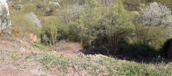  Land in Kusel, Germany No. 150173 3