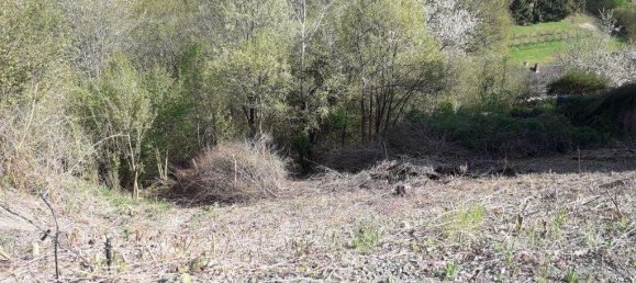  Land in Kusel, Germany No. 150173 2