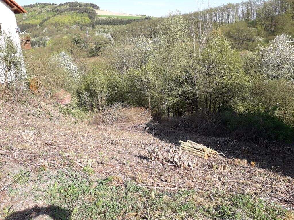  Land in Kusel, Germany No. 150173