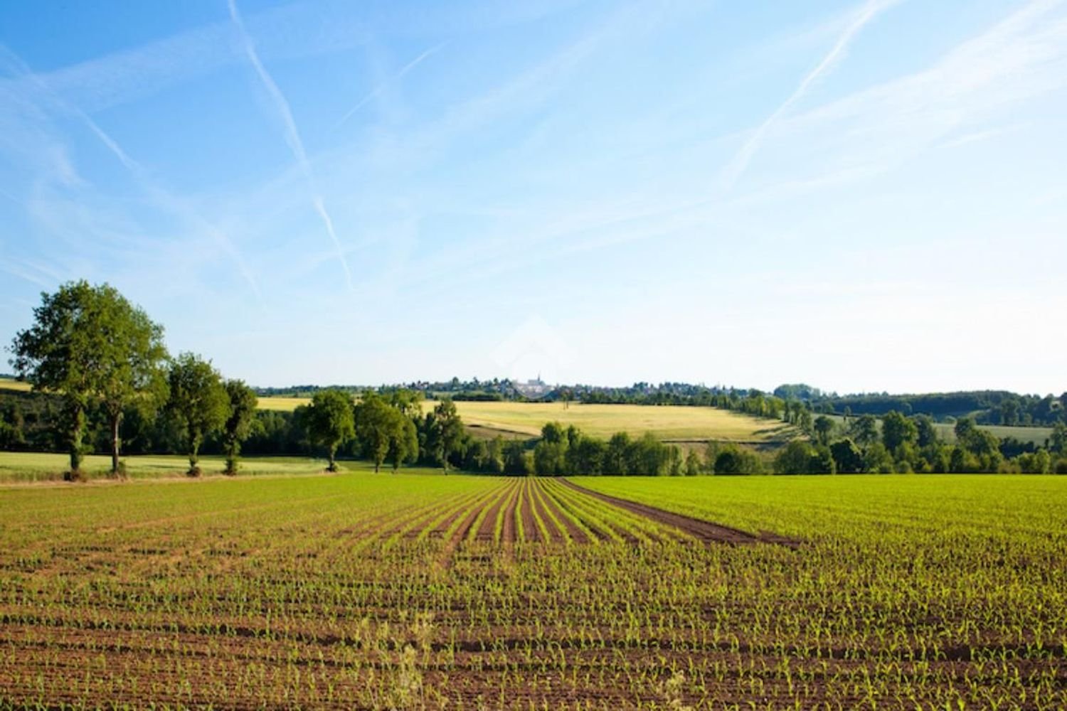 Земельный участок в Вигонца, Италия № 331837