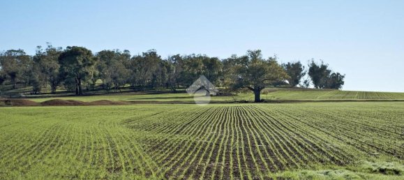 Земельный участок в Вигонца, Италия № 331837 11