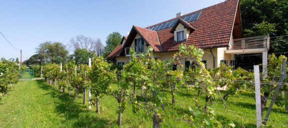 5 rooms Castles in Ehrenhausen an der Weinstrasse, Austria No. 229928 50