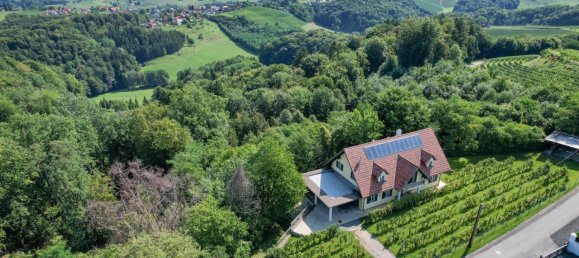 5 rooms Castles in Ehrenhausen an der Weinstrasse, Austria No. 229928 3