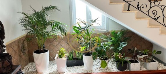 6 bedrooms Villa in Loule, Portugal No. 112149 4