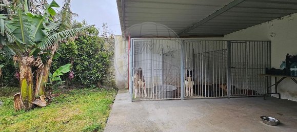 4 غرف نوم منزل في Lagoa, Portugal رقم 45358 24