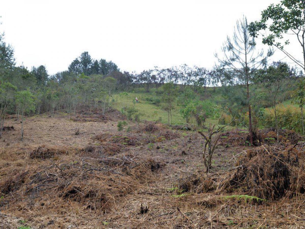  قطعة أرض في Antioquia, Colombia رقم 851