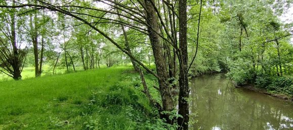 4 bedrooms House in Aubigny-sur-Nere, France No. 232562 18