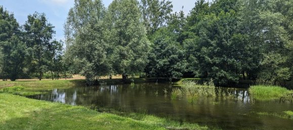 4 bedrooms House in Aubigny-sur-Nere, France No. 232562 11