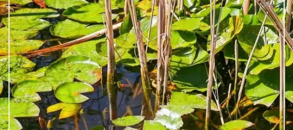 3 Schlafzimmer Haus in Remy, France, Nr. 318394 2