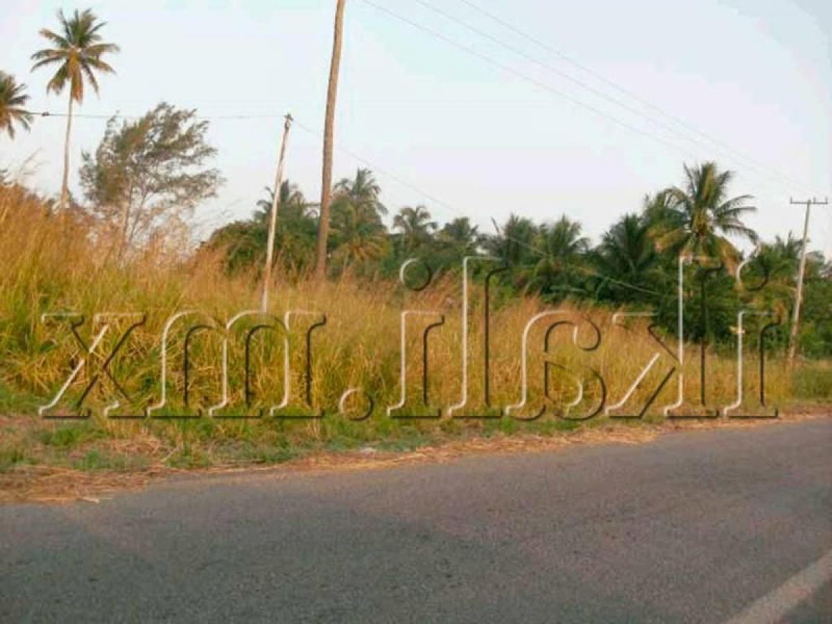  Land in Veracruz, Mexico No. 205724