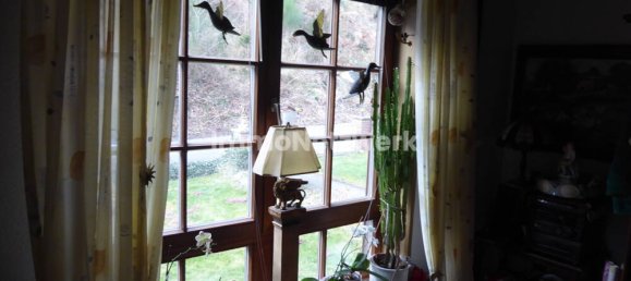 2 Schlafzimmer Haus in Bad Dürkheim, Germany, Nr. 114501 9