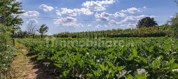 2100m² Land in Cislago, Italy No. 307853 11