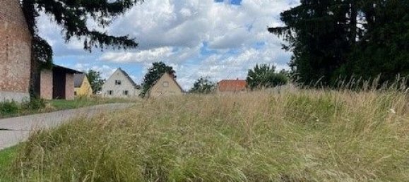 Земельный участок в Дюрнкрут, Австрия № 198302 7