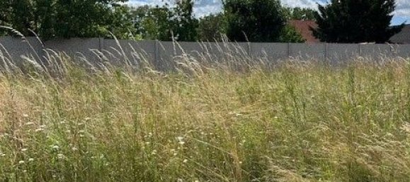 Земельный участок в Дюрнкрут, Австрия № 198302 5