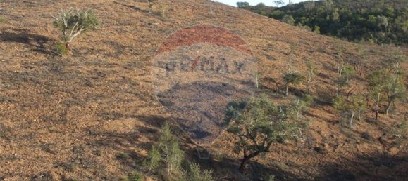 Terrain à Saboia, Portugal 62700m² No. 32811 9