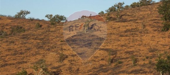 Terrain à Saboia, Portugal 62700m² No. 32811 6