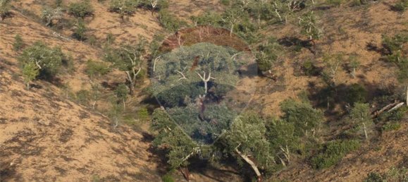 Terrain à Saboia, Portugal 62700m² No. 32811 11