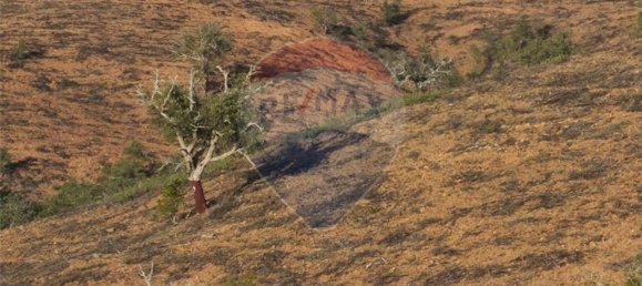 Terrain à Saboia, Portugal 62700m² No. 32811 5