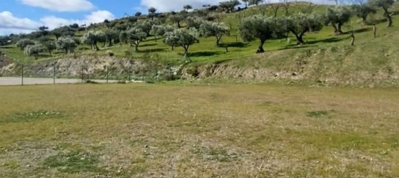  Land in Coin, Spain No. 144153 3