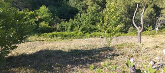 1692m² Land in Peyremale, France No. 289006 5