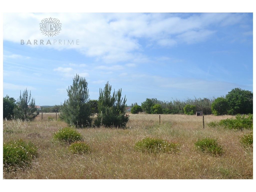 15910m² Land in Loule, Portugal No. 206994
