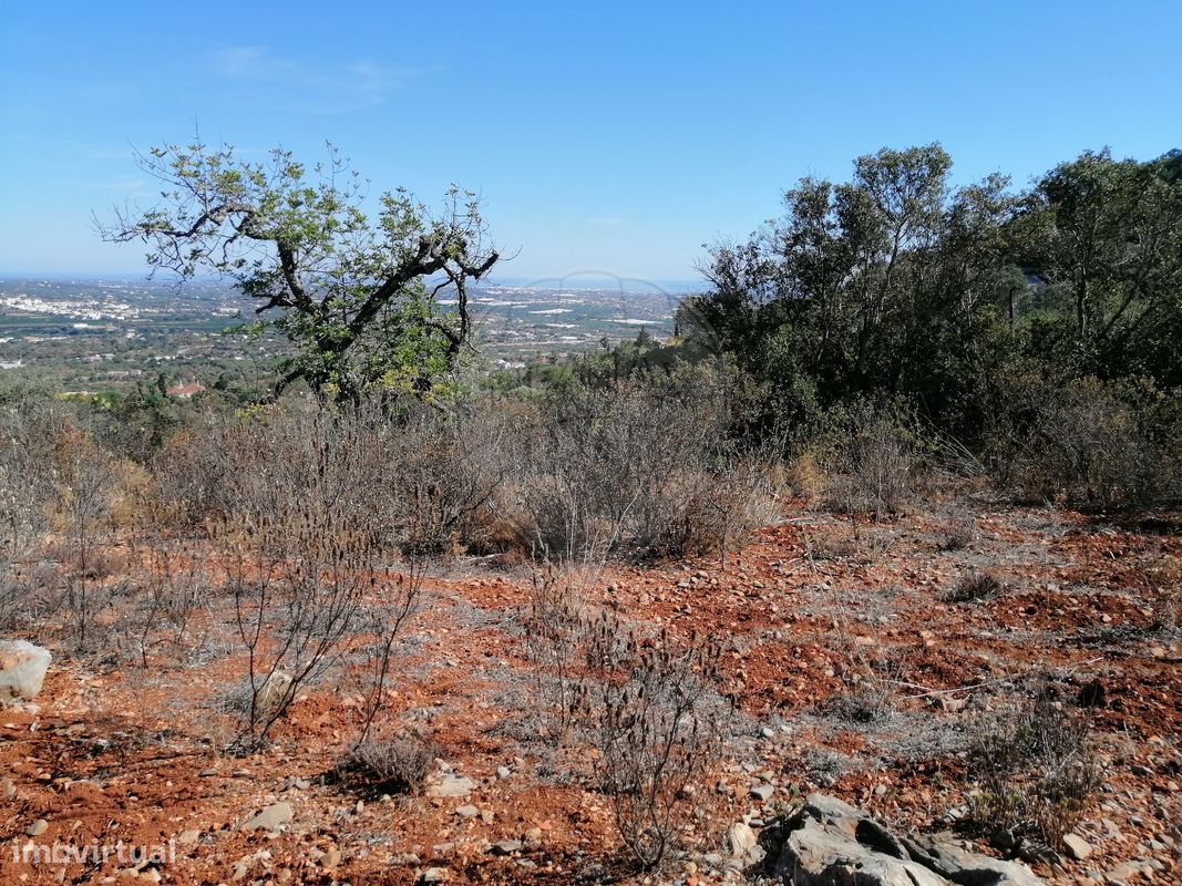 1200m² Land in Faro, Portugal No. 63574