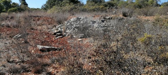 1200m² Land in Faro, Portugal No. 63574 5