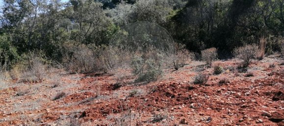 1200m² Land in Faro, Portugal No. 63574 7