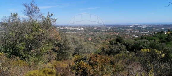 1200m² Land in Faro, Portugal No. 63574 2