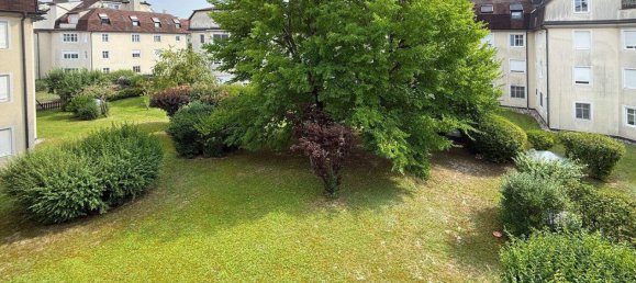 3غرفة شقة في Tulln an der Donau, Austria رقم 236217 13