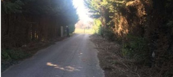 7 rooms Apartment in Campolongo Maggiore, Italy No. 61042 6