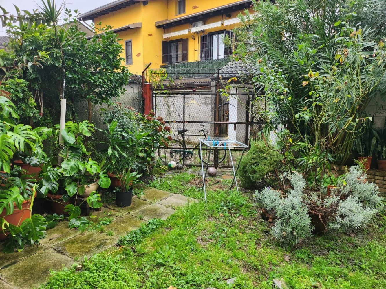 6 rooms House in Albonese, Italy No. 116025