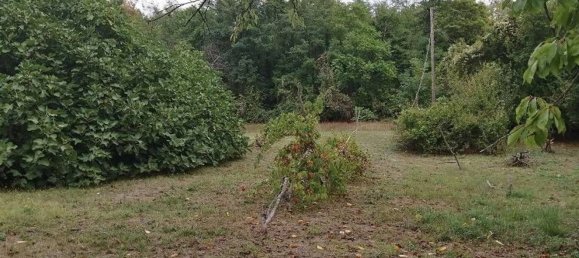 7-Zimmer Villa in Salsomaggiore Terme, Italy, Nr. 214189 21